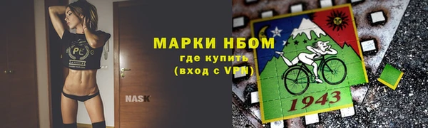 сатива Аркадак