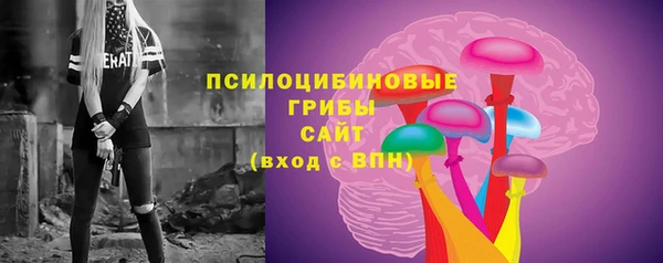 сатива Аркадак