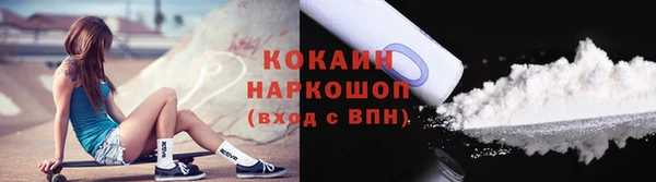 сатива Аркадак