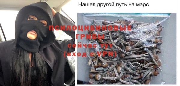 сатива Аркадак