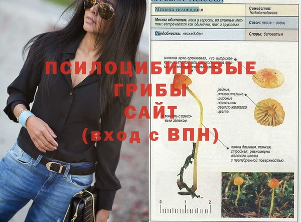твердый Армянск
