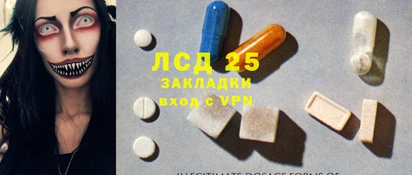 сатива Аркадак