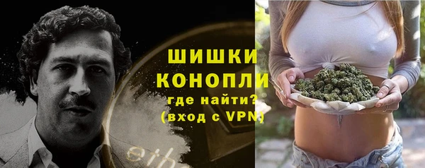 сатива Аркадак
